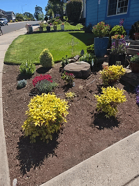 Colorful front yard garden featuring vibrant flowers, ornamental shrubs, and decorative planters.