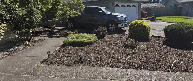 Gray truck parked in driveway with landscaped yard and shrubs on sunny day.