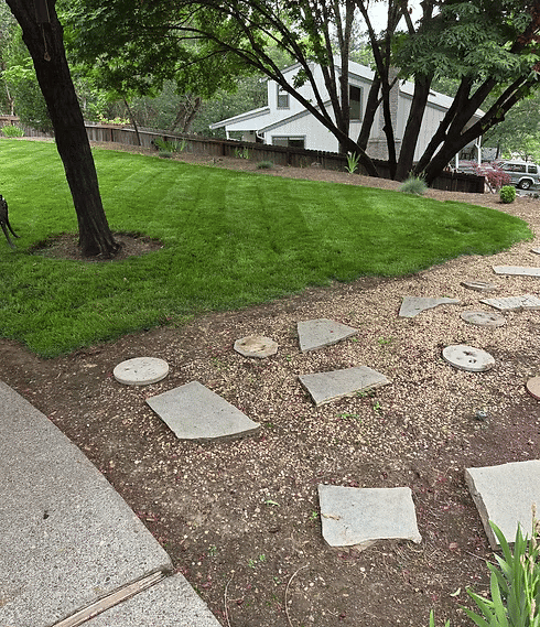 Lawn with freshly cut grass and stone pathway leading to a house amidst trees.