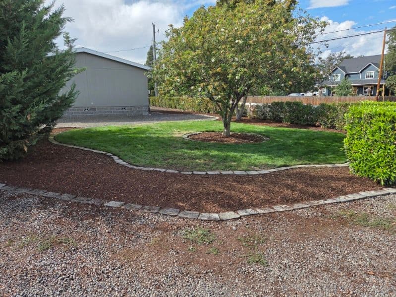 Expert Yard Makeover with Mulch and Maintenance image