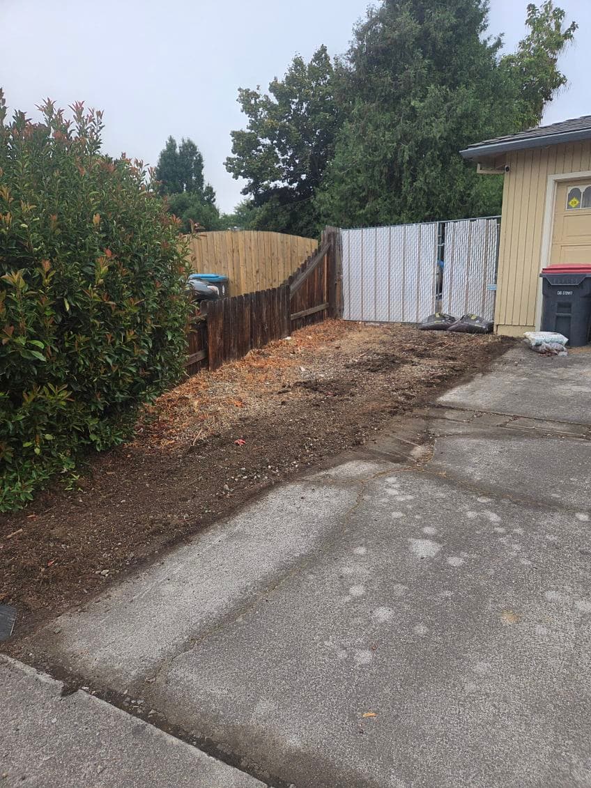 Gallery photos for Revamping Your Outdoor Space with Efficient Landscaping: Image #2