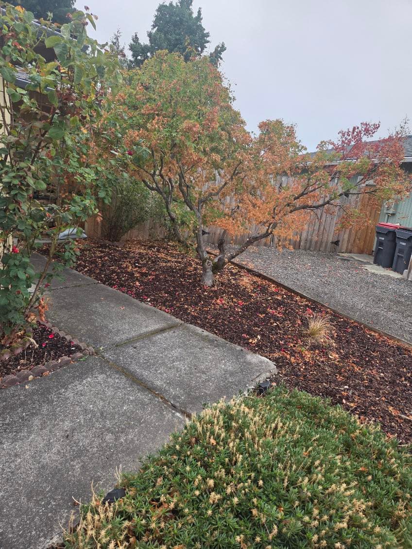 Gallery photos for Revamping Your Outdoor Space with Efficient Landscaping: Image #3